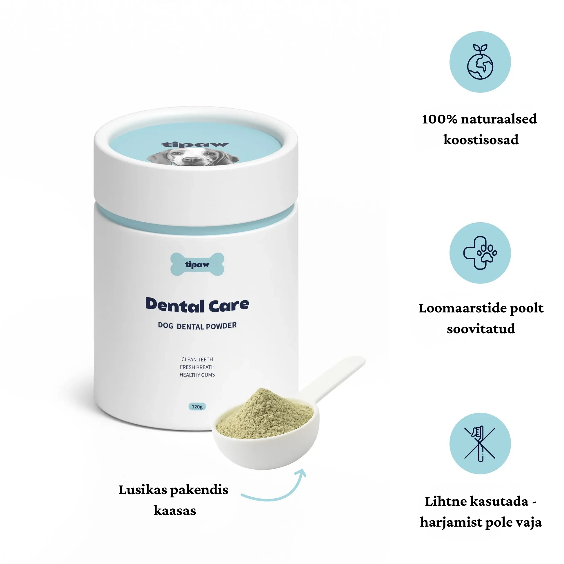 dental care dental care